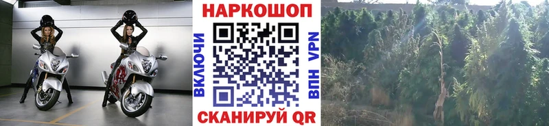 Купить наркотики цена Монино Марихуана МЕФ Амфетамин Альфа ПВП Гашиш Cocaine