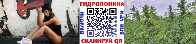 дарнет шоп  Монино  Бошки Шишки планчик 